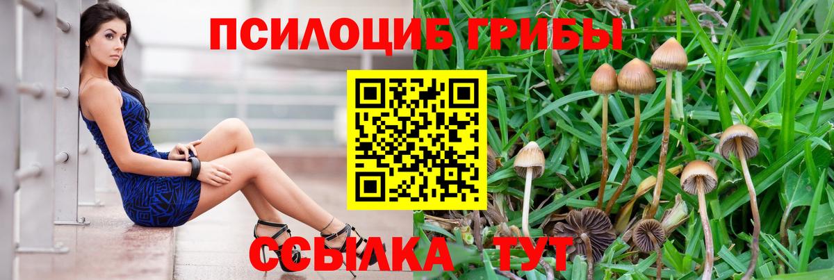 Псилоцибиновые грибы GOLDEN TEACHER Иваново